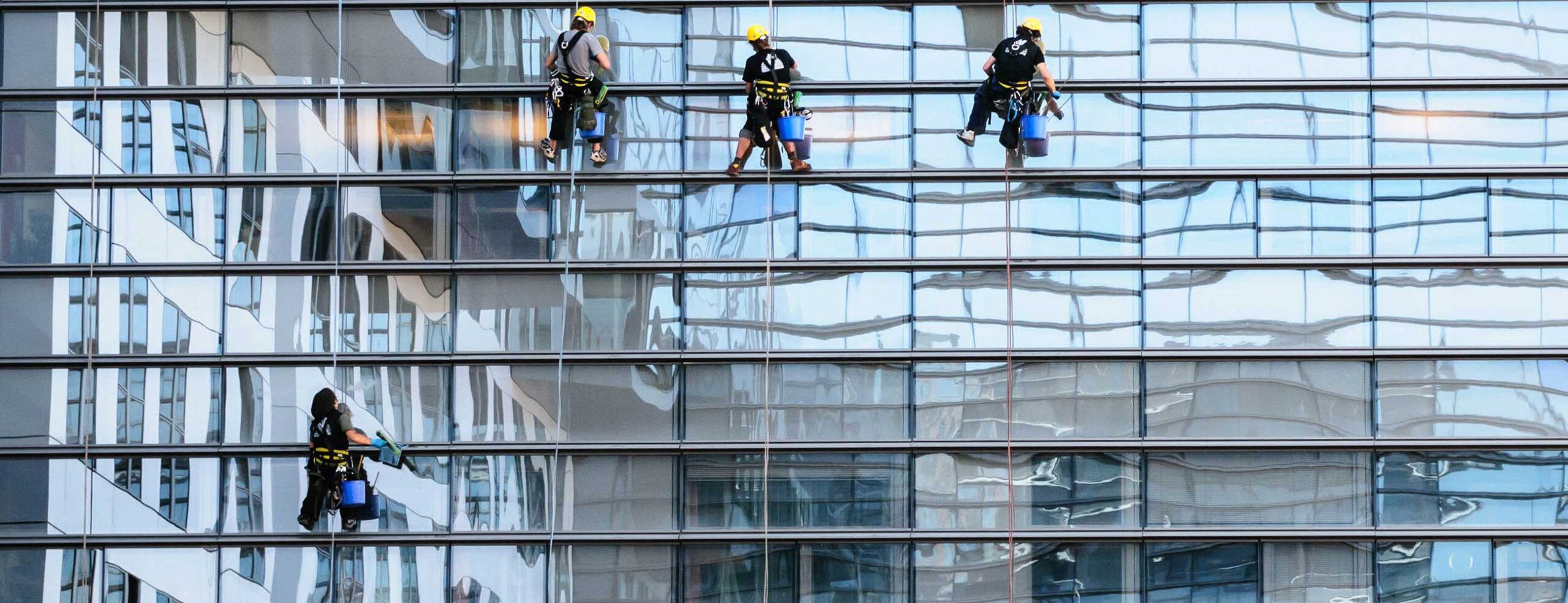Fensterreiniger hängen an Seilen außen an einer Glasfront und reinigen sie